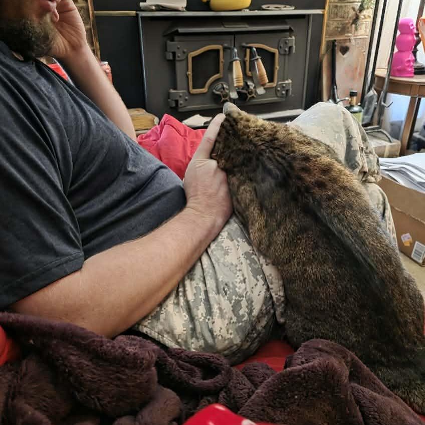 Enlarge Sadie, a ADOPTABLE mixed breed in Oklahoma City, OK image 4/6