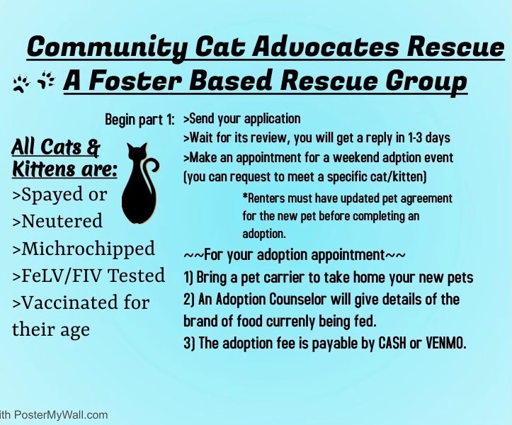 Jeannie — thumbnail 2