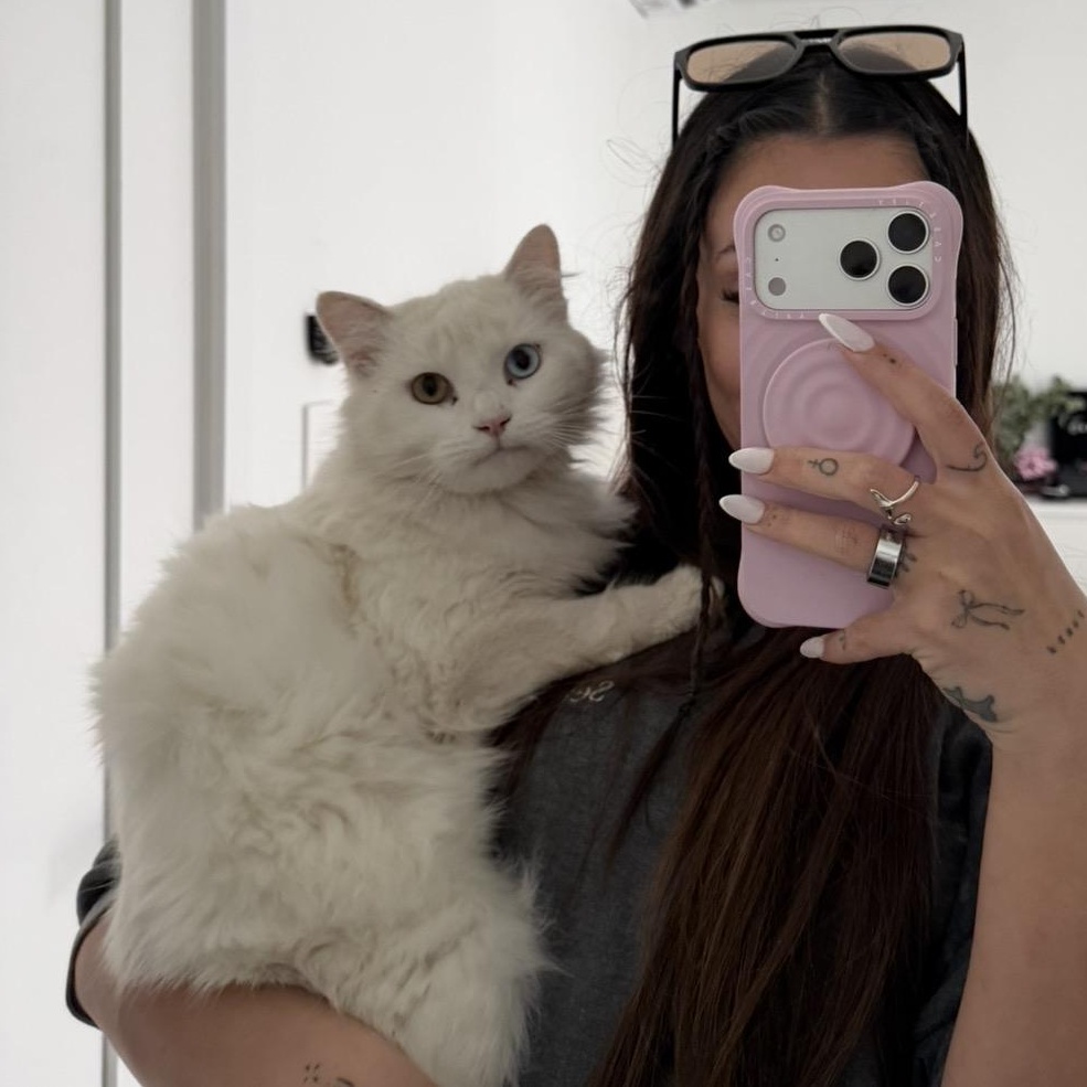 Enlarge Meep, a ADOPTABLE Domestic Long Hair in San Diego, CA image 1/5