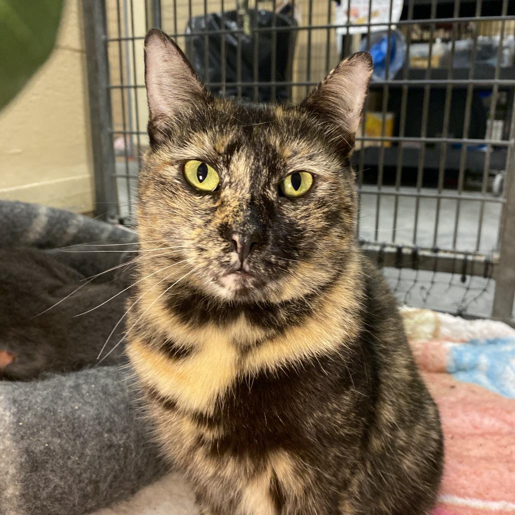 Elle — thumbnail 3