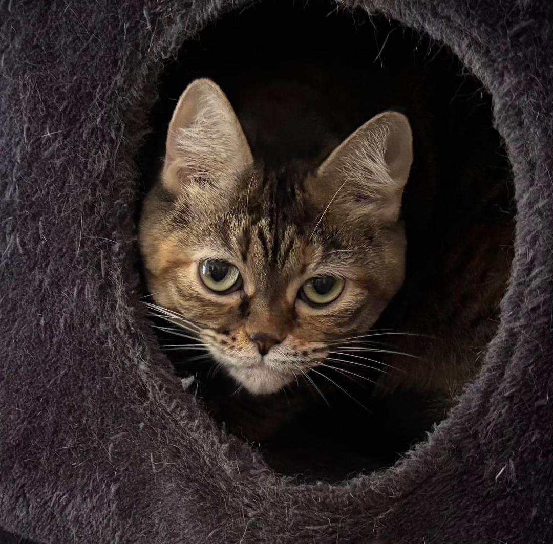 Gretchen thumbnail 3