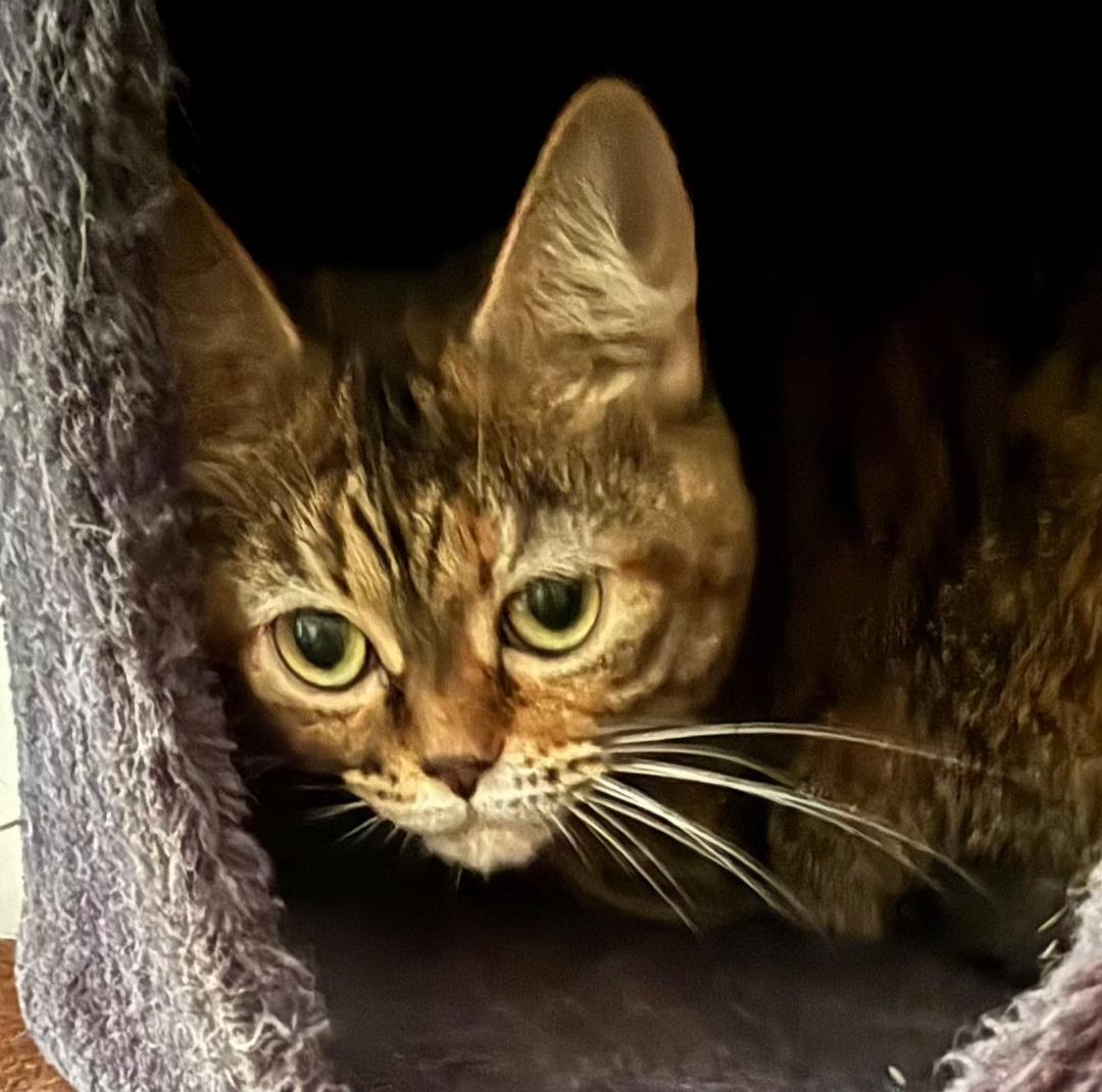 Gretchen thumbnail 2