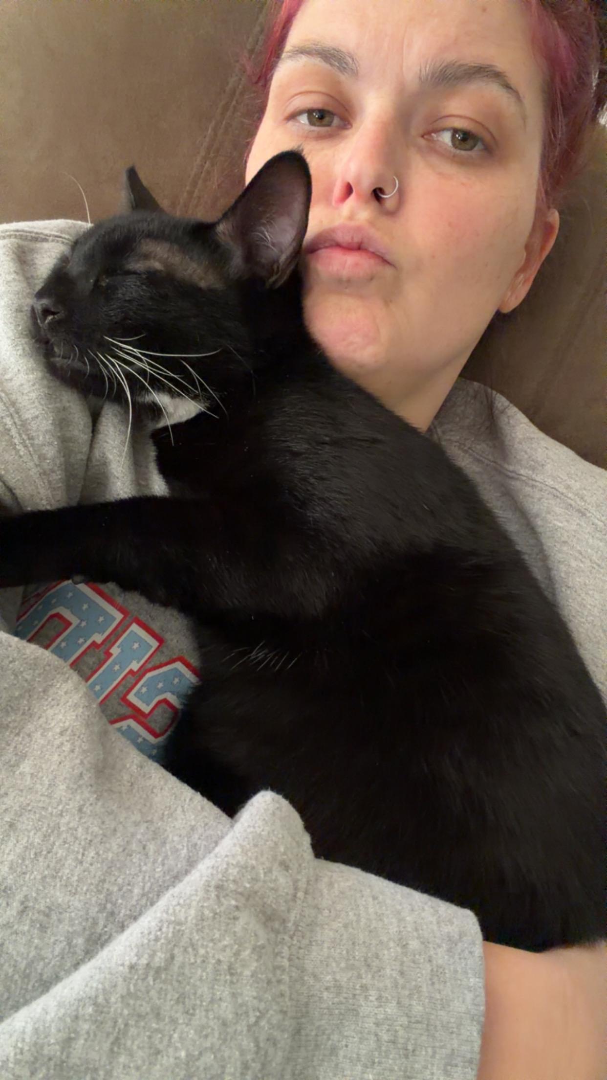 Enlarge Oreo , a ADOPTABLE Domestic Short Hair in Chickasaw, AL image 3/4