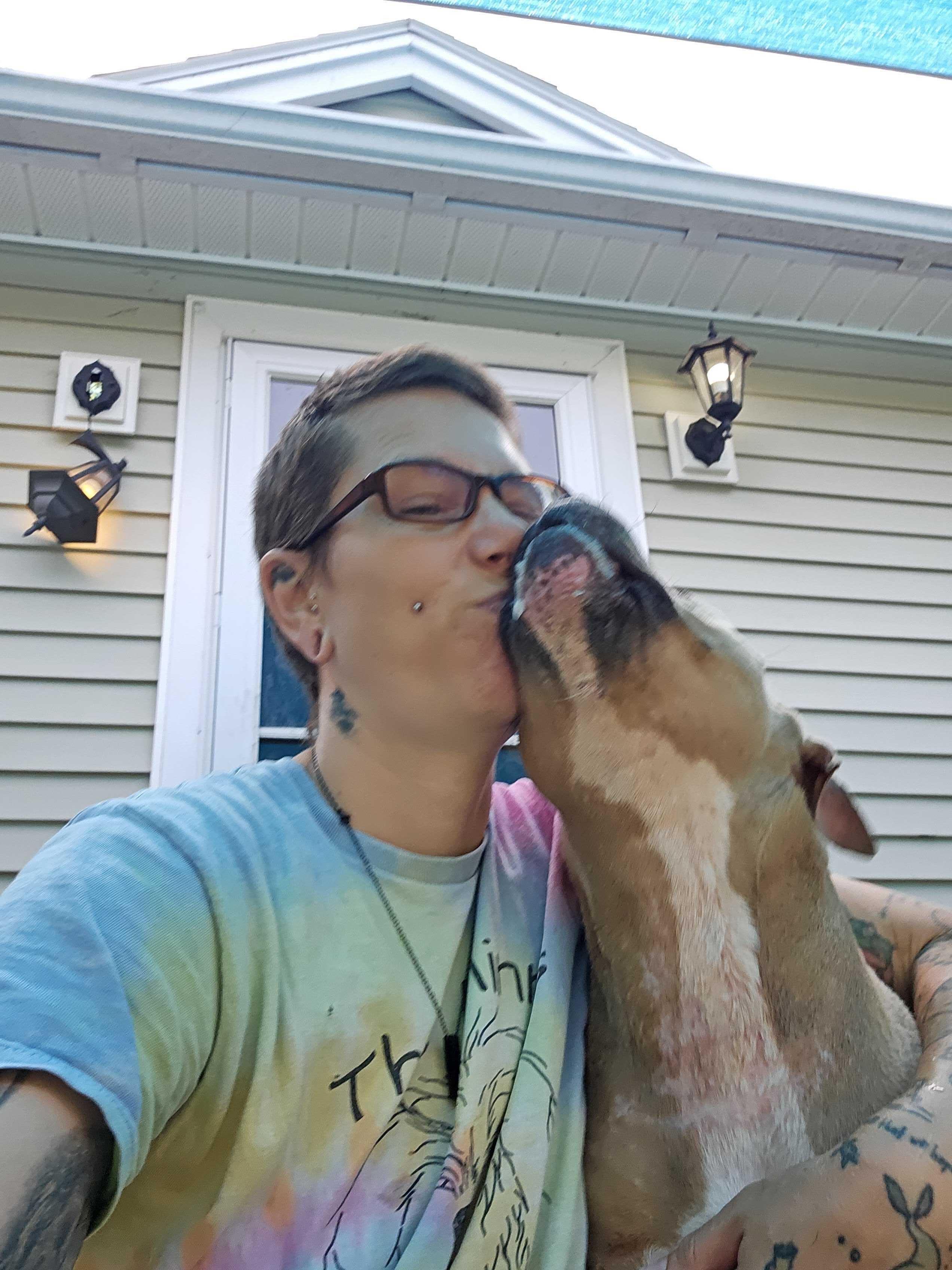Enlarge Rosebud, a Adoptable Mixed Breed in Bowdoin, ME image 2/6