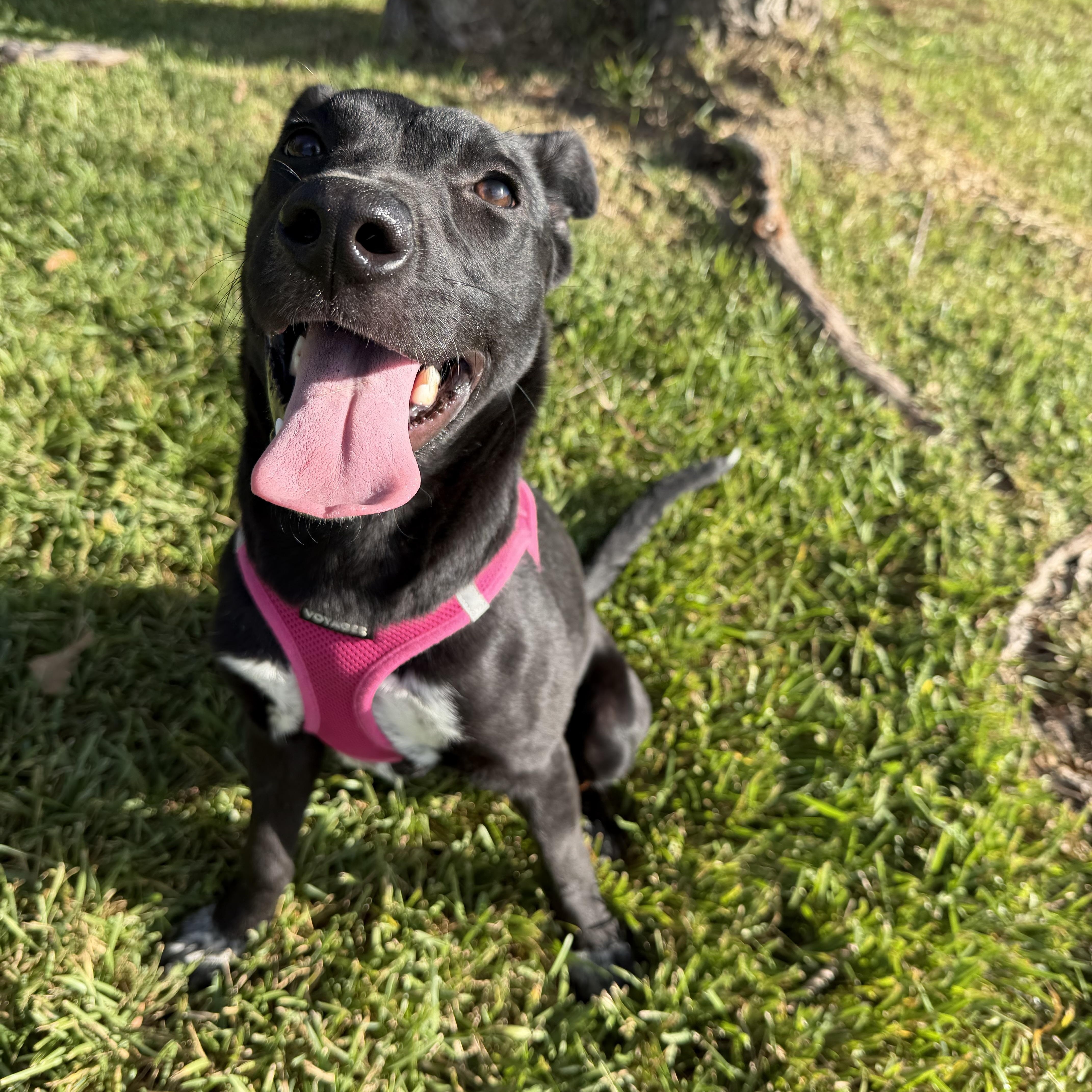 Lucy photo