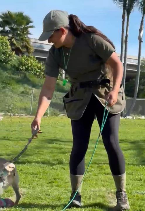 Enlarge Chico, a Adoptable Pug in San Pedro, CA video 6/6