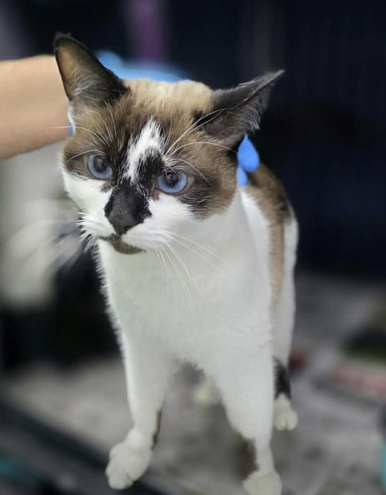 Cora Fka Olivia thumbnail 3