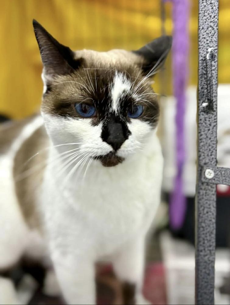 Cora Fka Olivia thumbnail 4