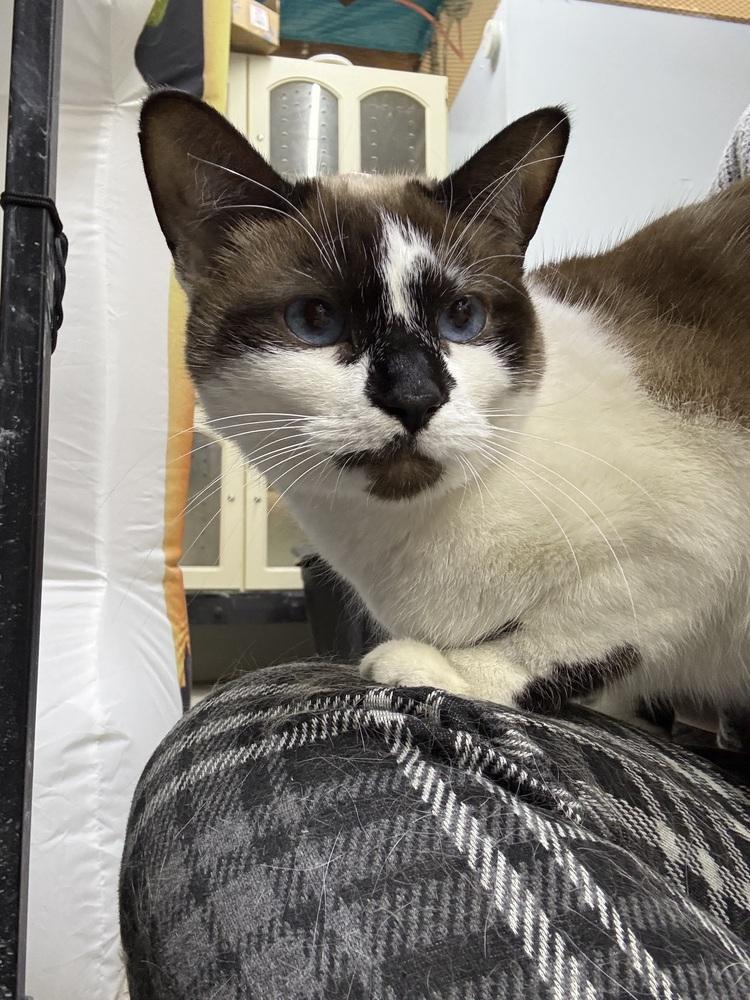 Cora Fka Olivia thumbnail 5