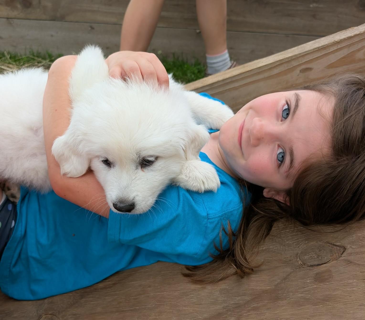 Celeste, a ADOPTABLE Great Pyrenees in Kiowa, OK image 3/6