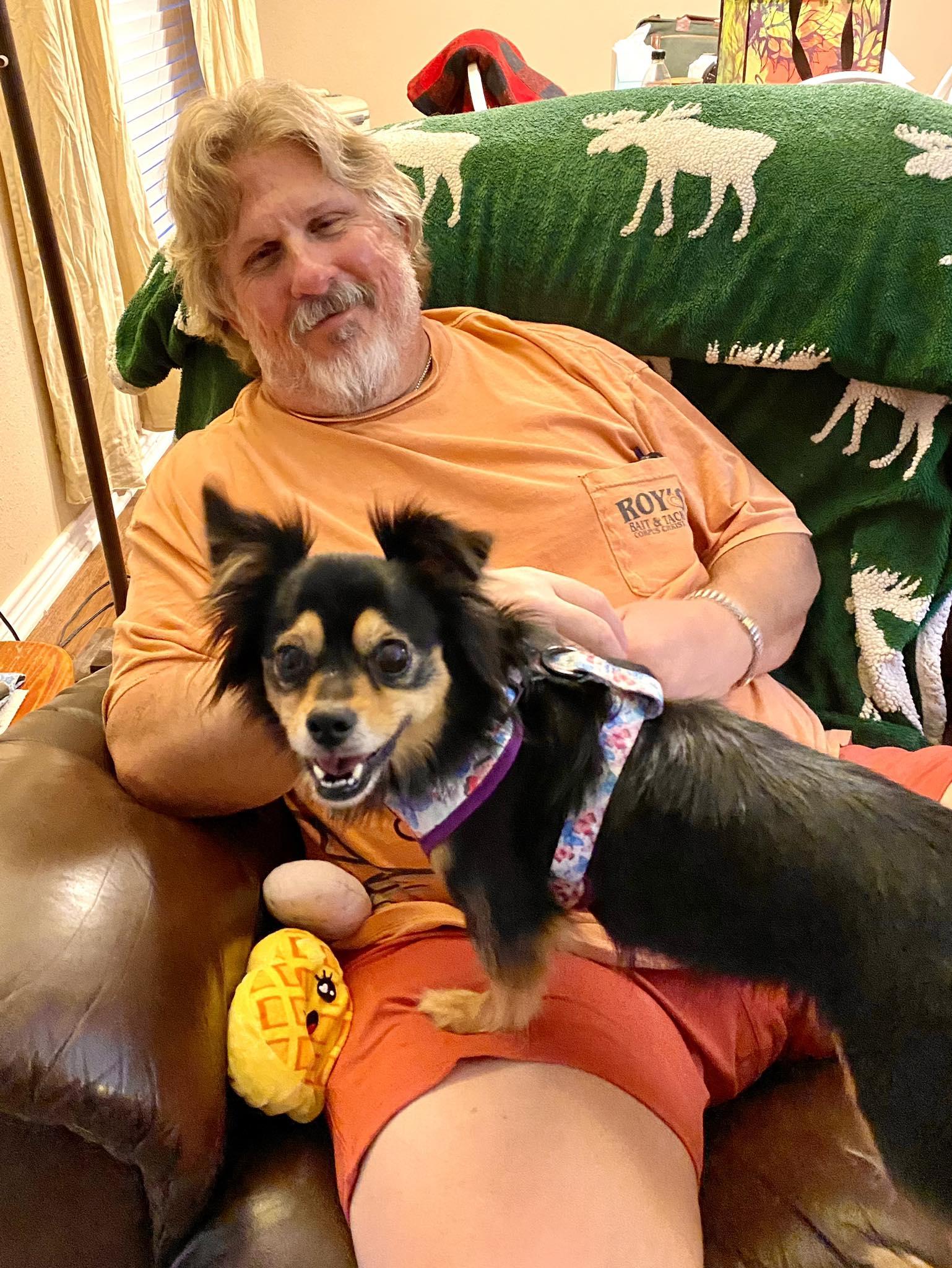 Macey - ADOPTED!, an adoptable Chihuahua, Papillon in Houston, TX, 77235 | Photo Image 2