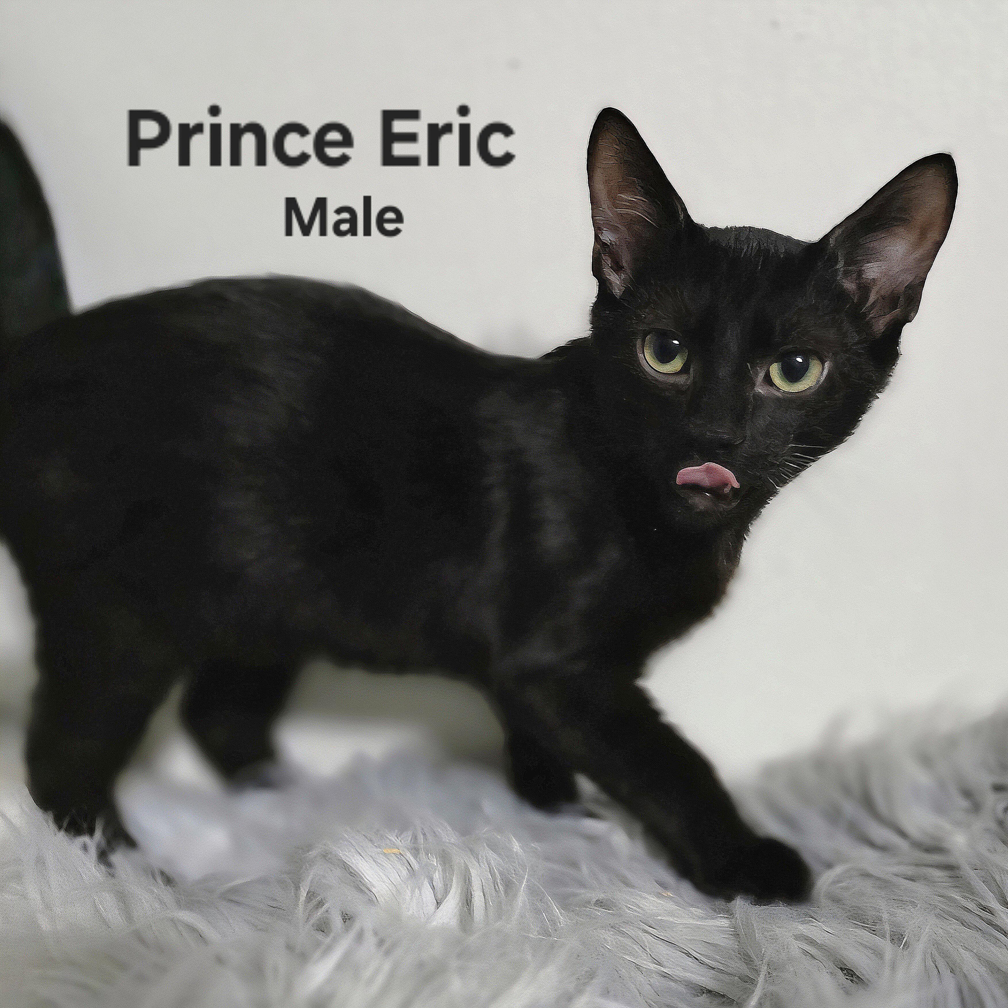 Prince Eric