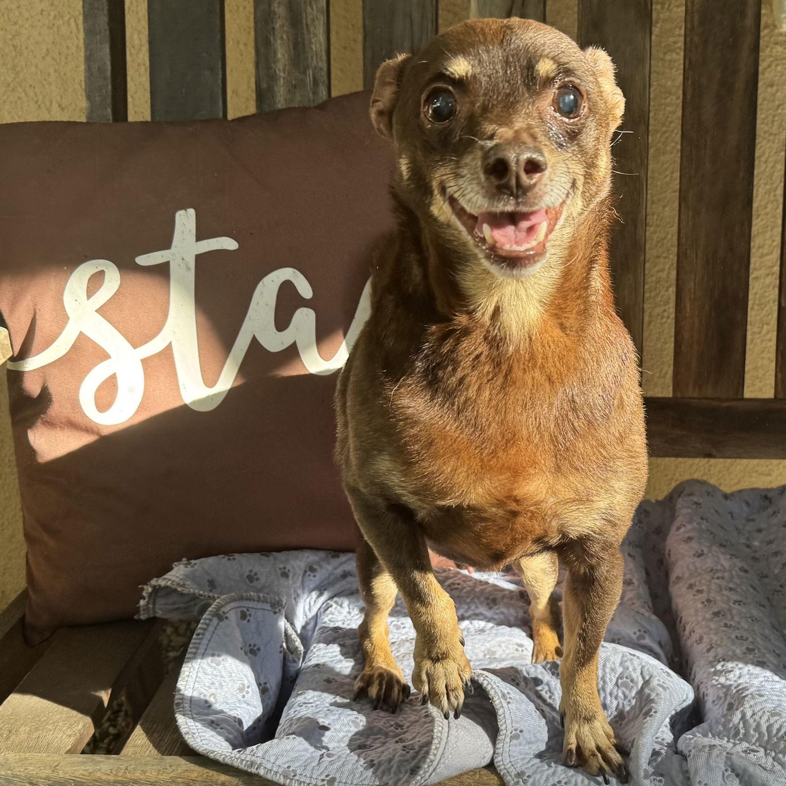 Archie (bonded with Edith)