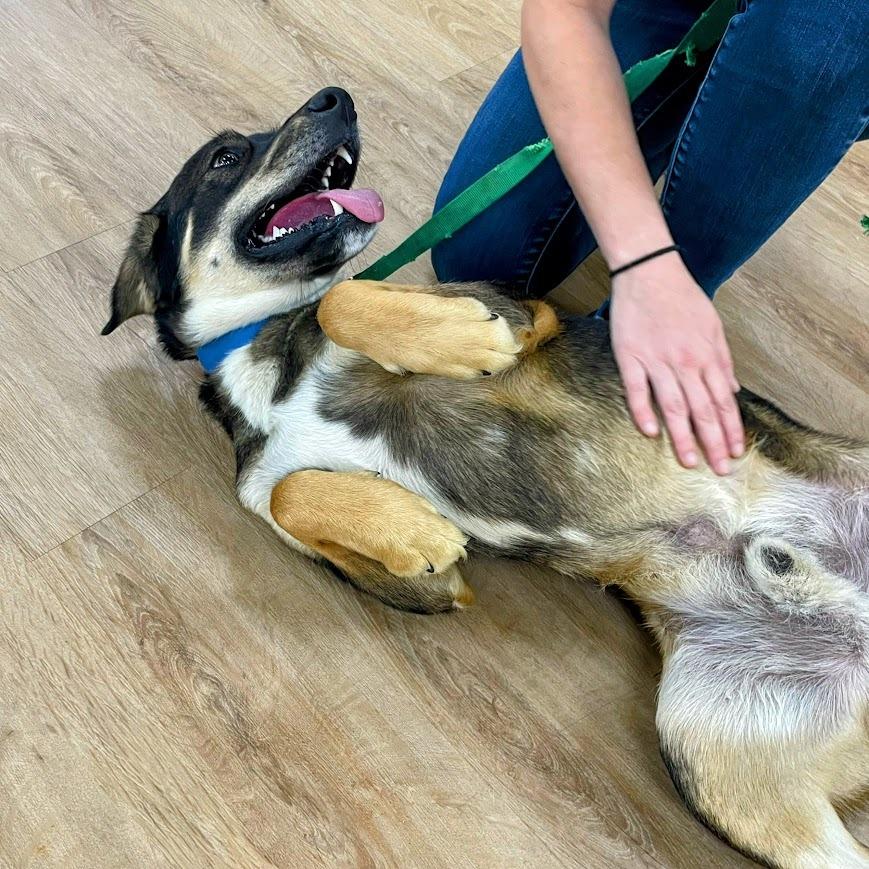 Maverick thumbnail 3