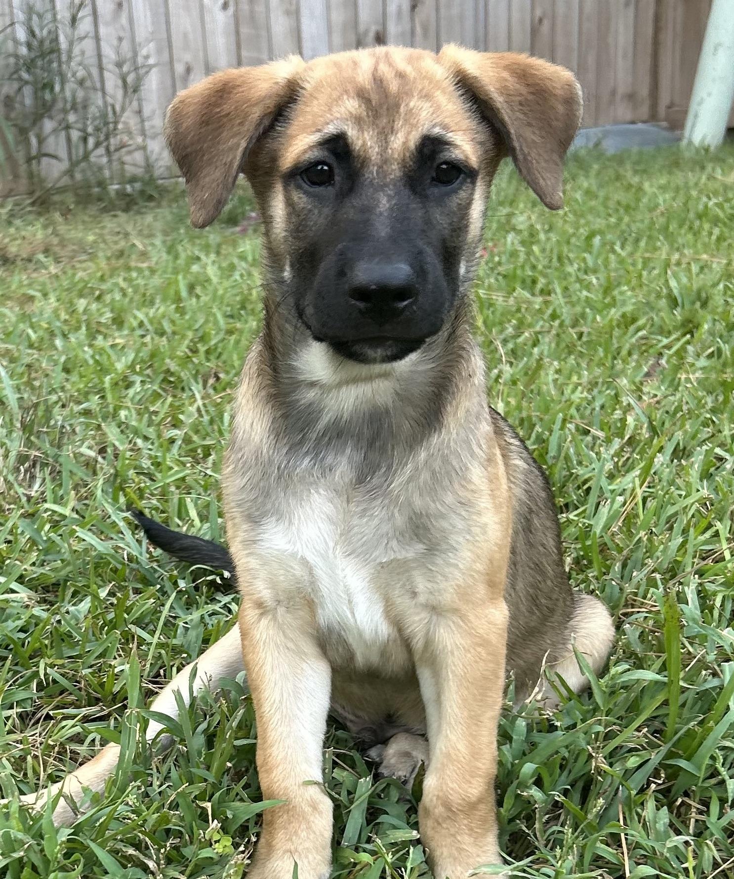 Palmer