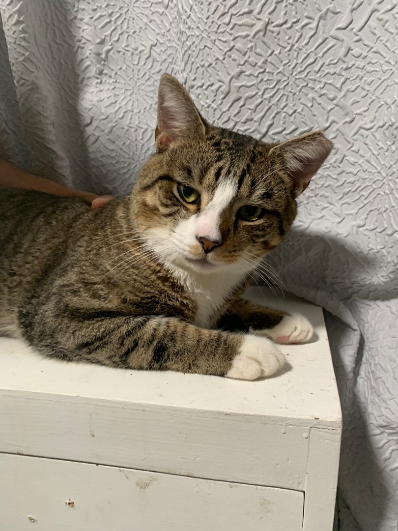 Super Affectionate Charlie 2