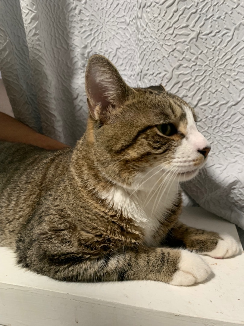 Super Affectionate Charlie 3