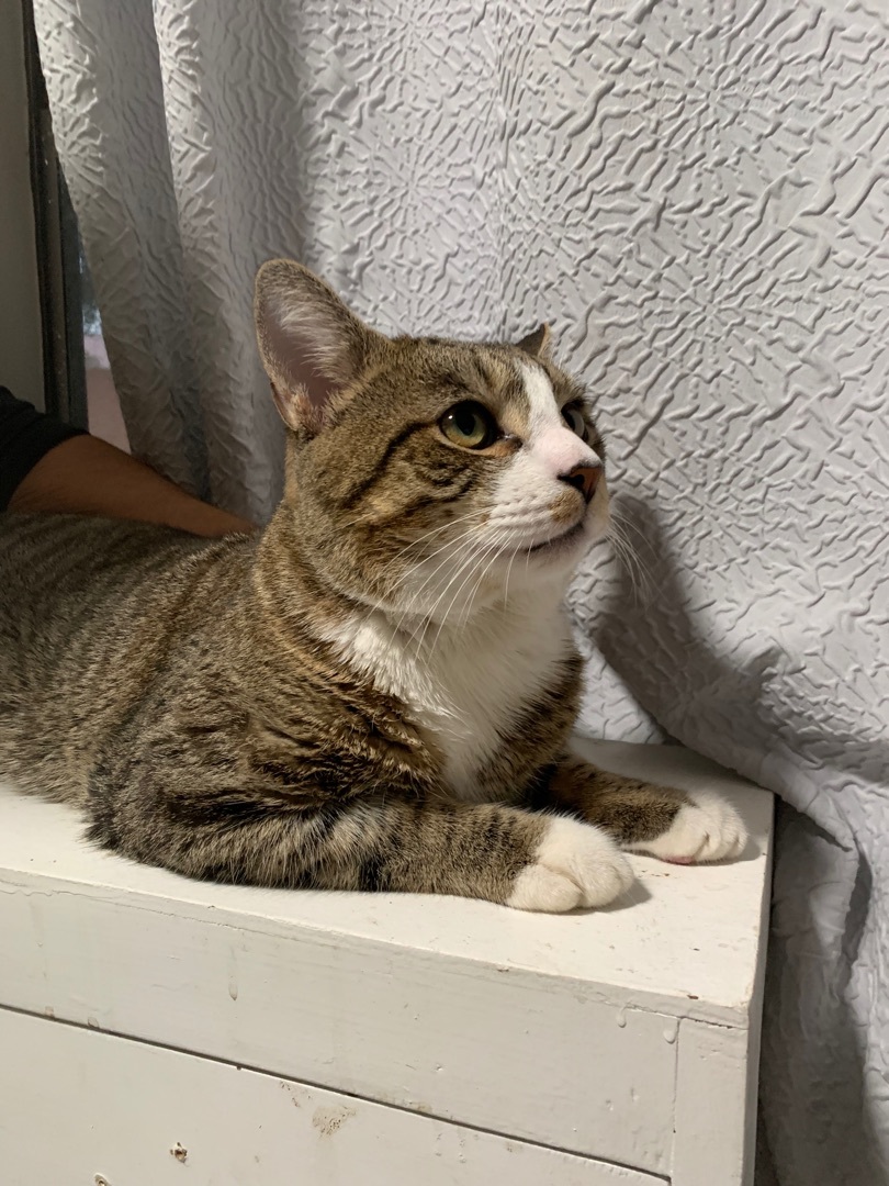 Super Affectionate Charlie 1