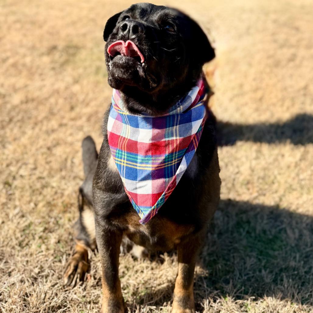 Andrew — thumbnail 5