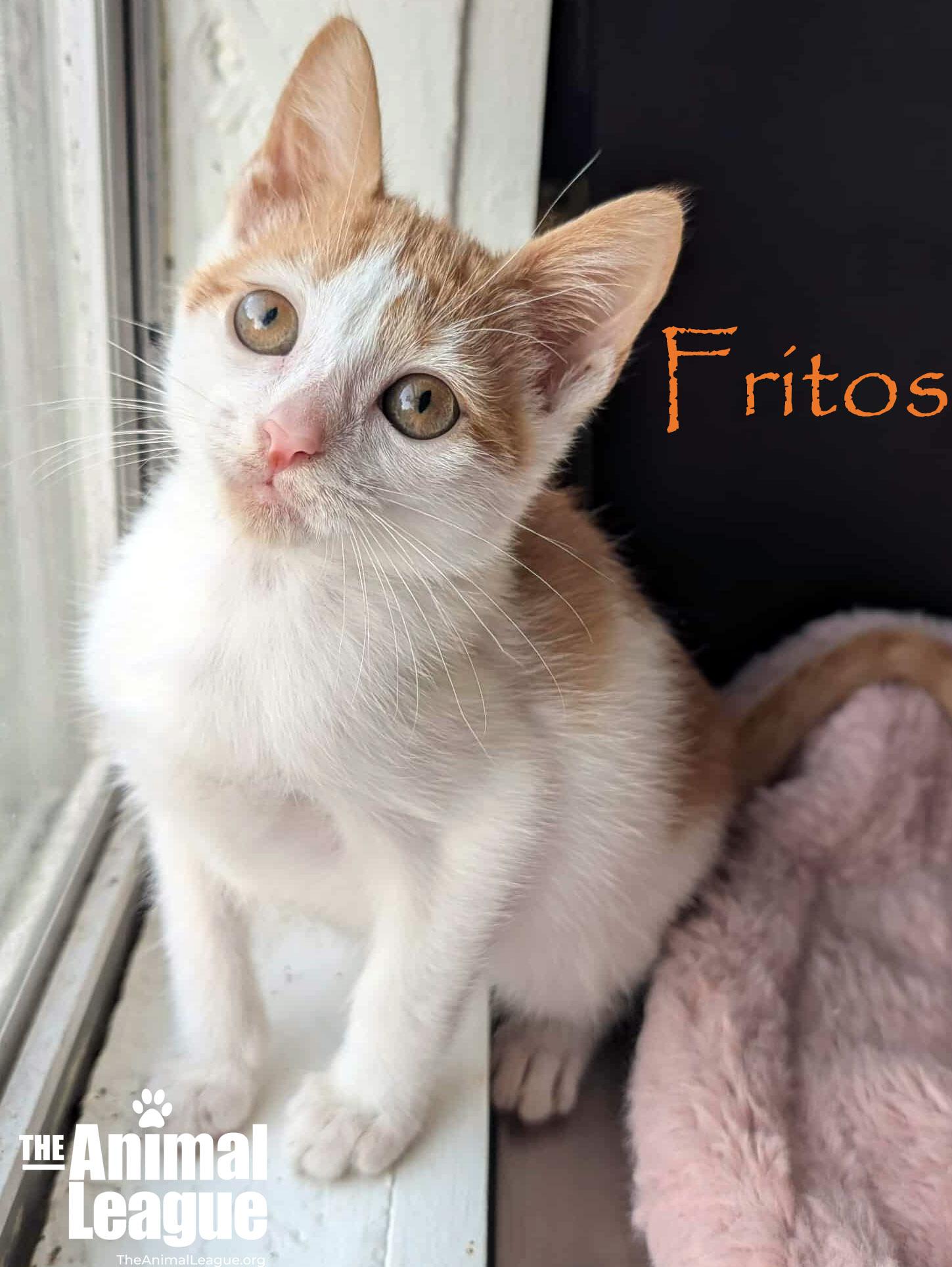 Fritos
