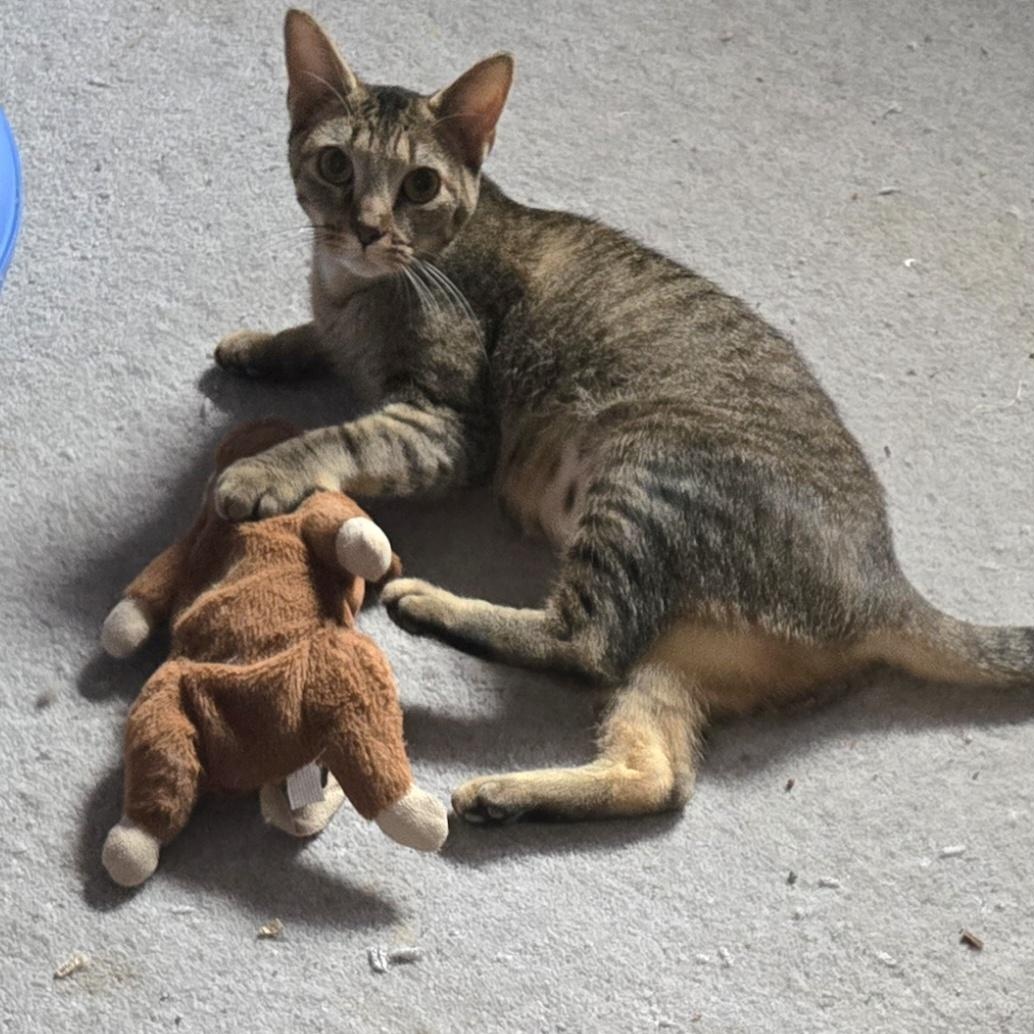 Sloan — thumbnail 3