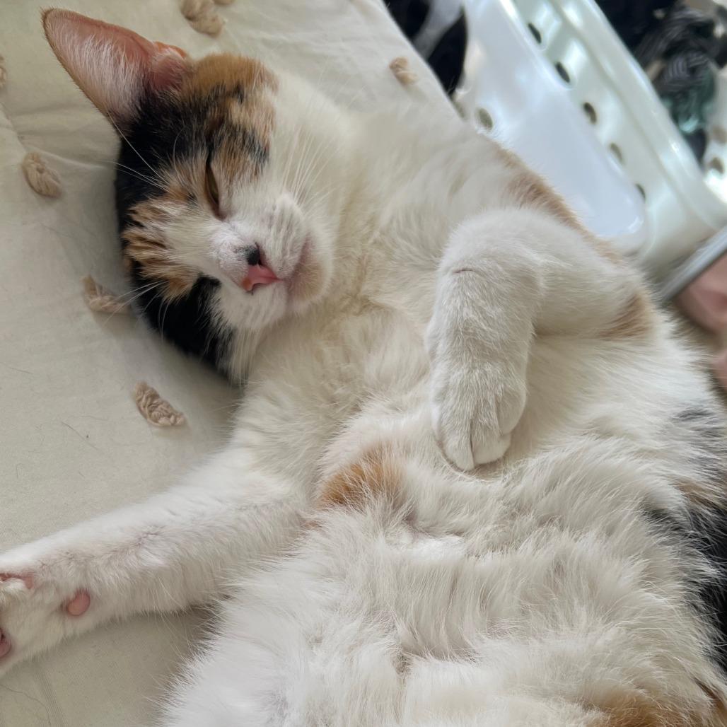 Naoko — thumbnail 2