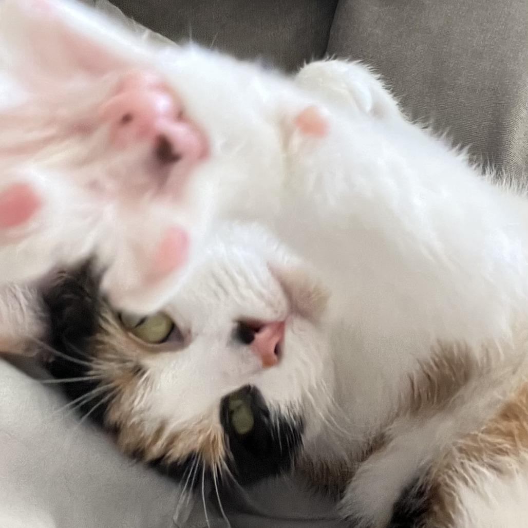 Naoko — thumbnail 4