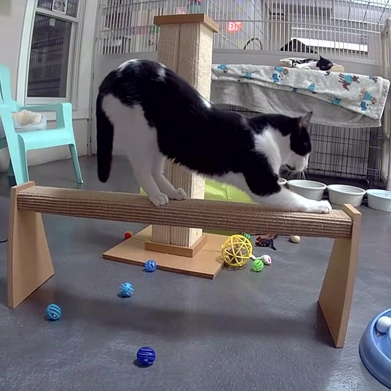 Ralphie — thumbnail 5