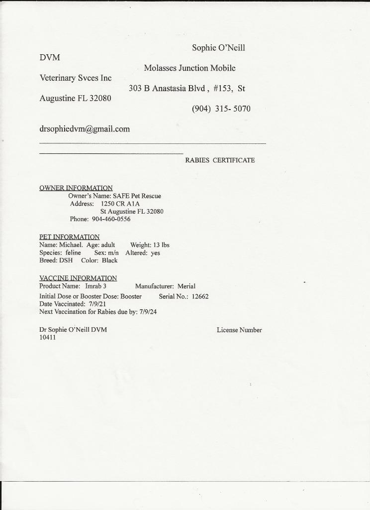 Michael, a Adoptable mixed breed in St. Augustine, FL image 1/2