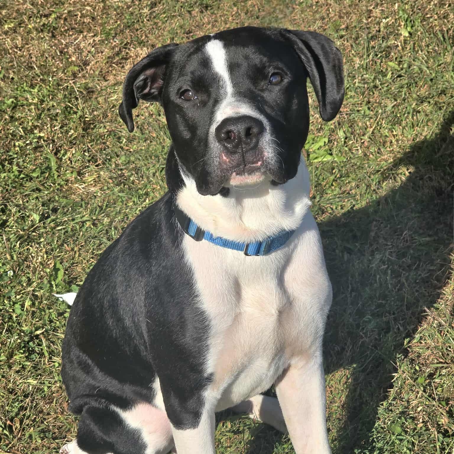 Zeke