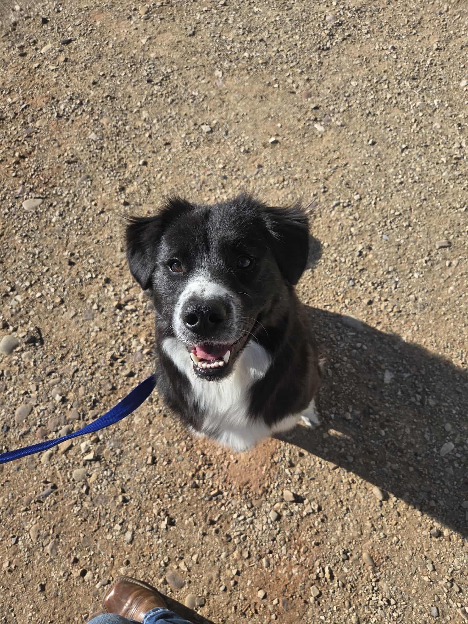 Charlotte thumbnail 2