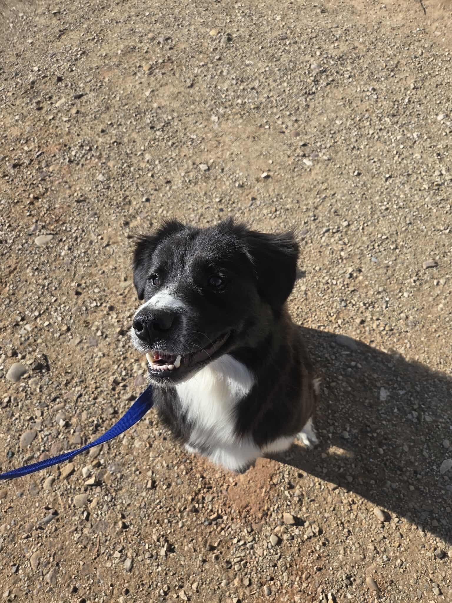 Charlotte thumbnail 3