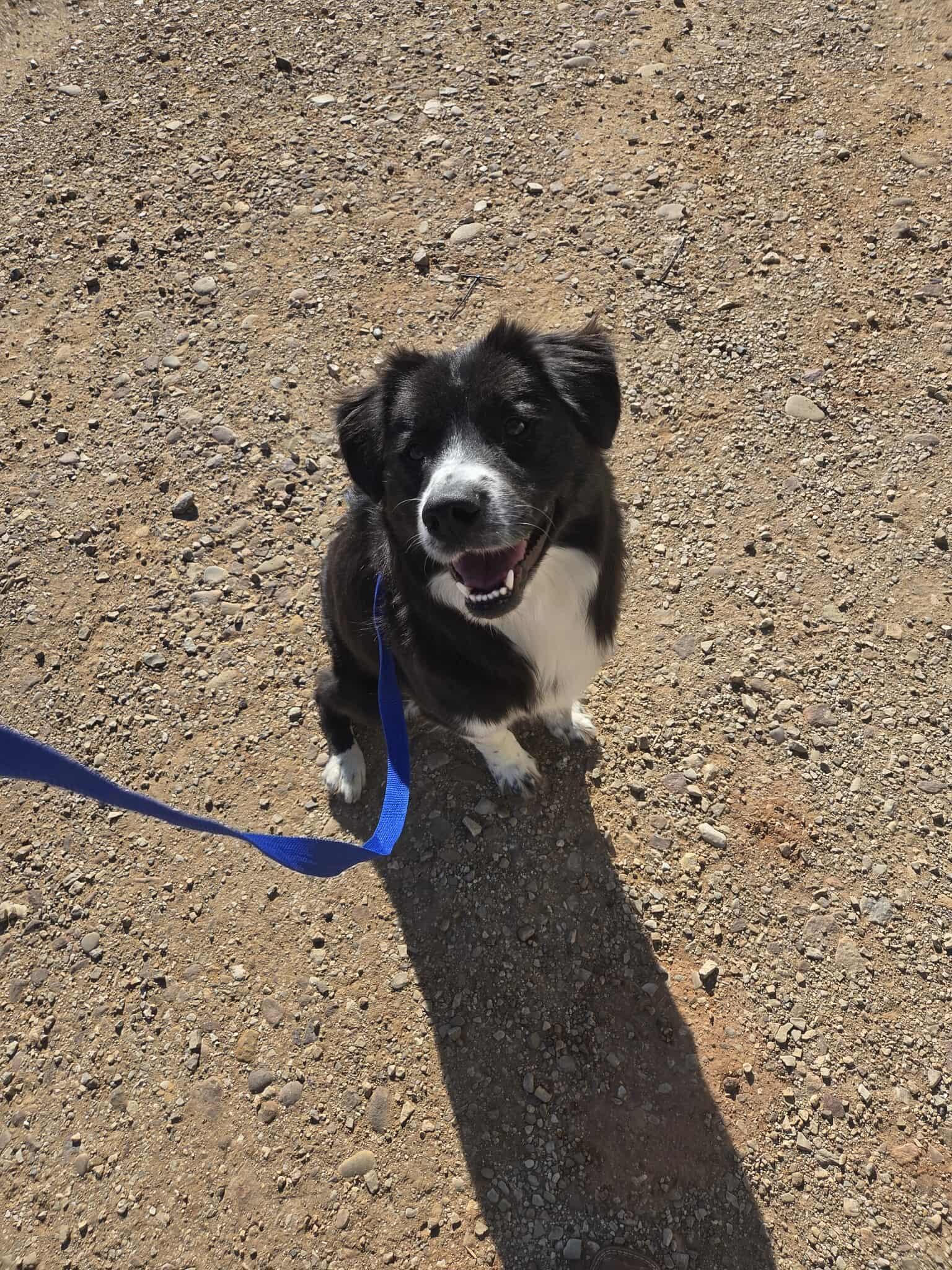 Charlotte thumbnail 4