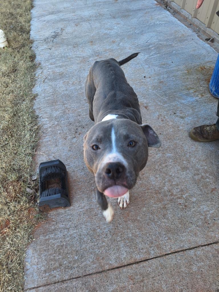 Hadley Grace thumbnail 6