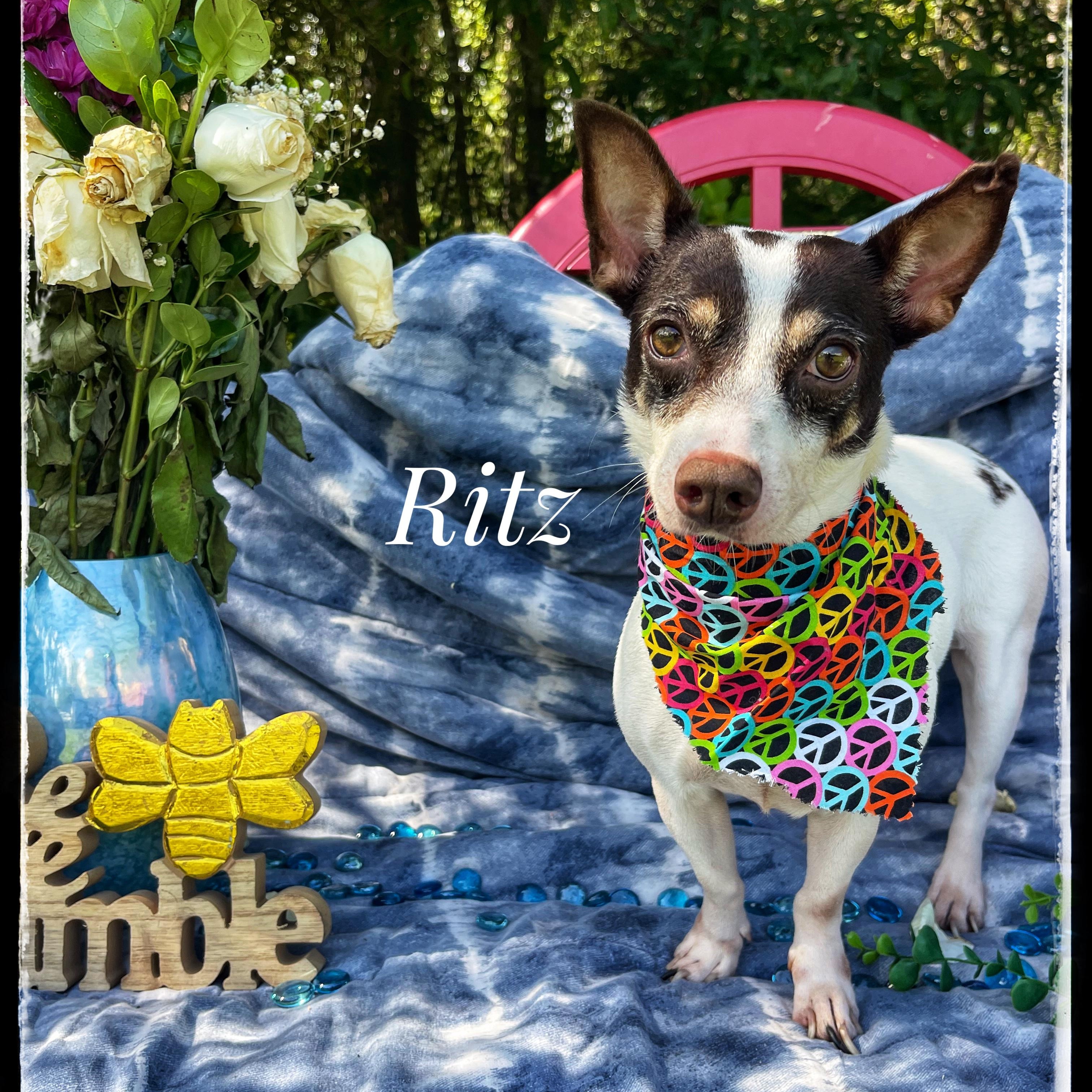 Ritz