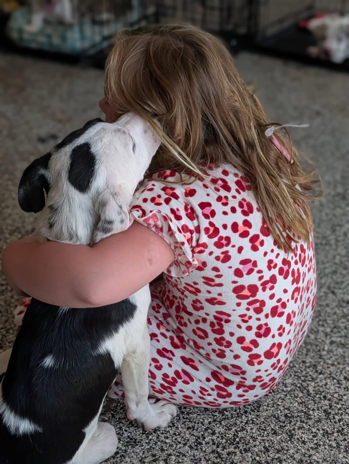 Monica, a ADOPTABLE mixed breed in Byron, IL image 2/6