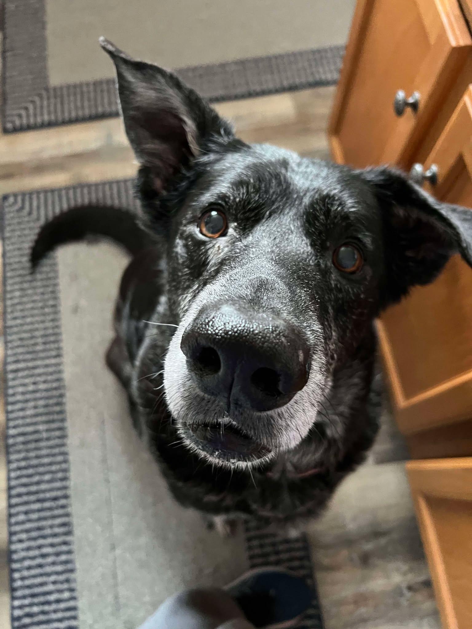 Zeus photo 3