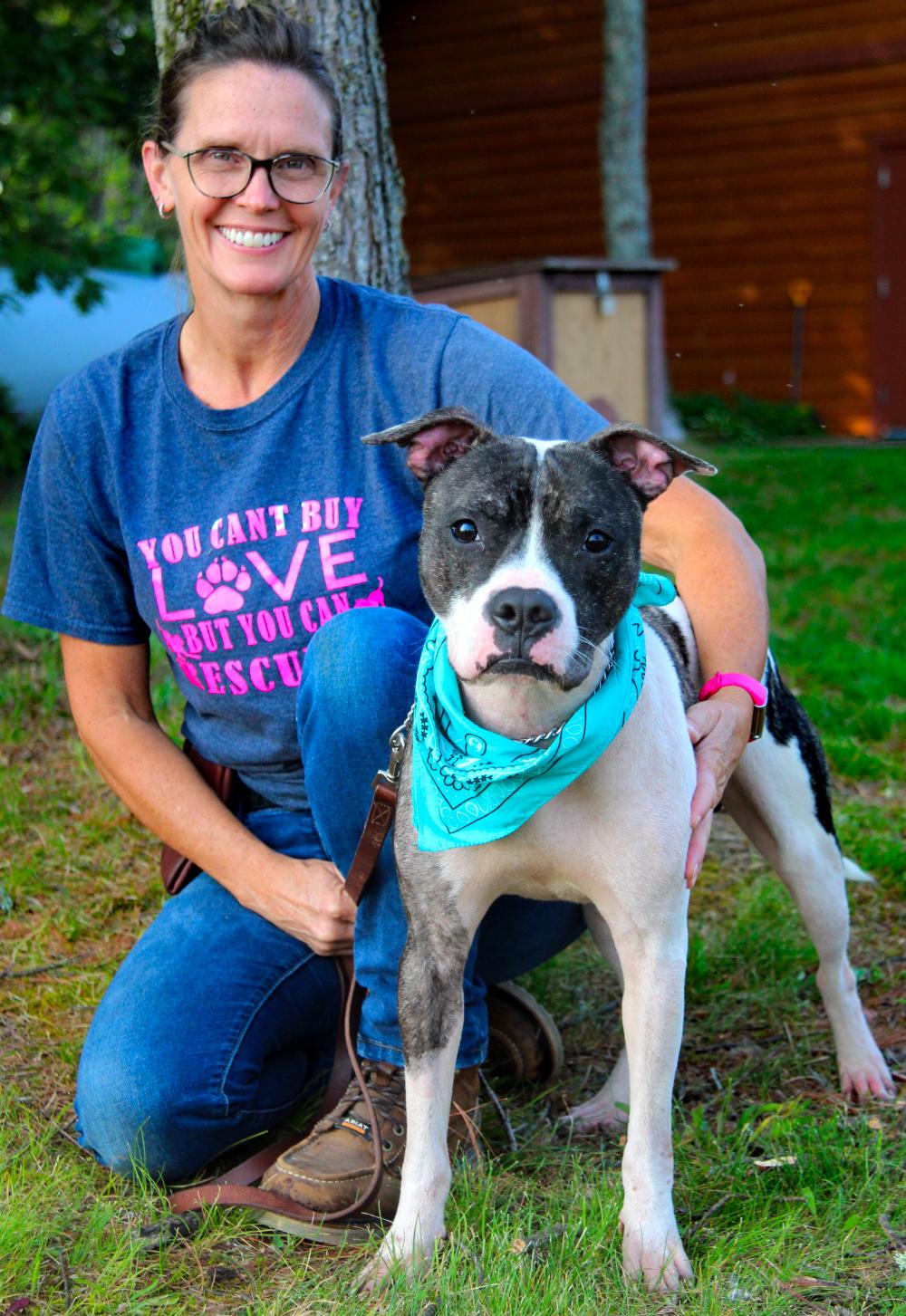 Koda, an adoptable American Staffordshire Terrier in Cheboygan, MI, 49721 | Photo Image 2