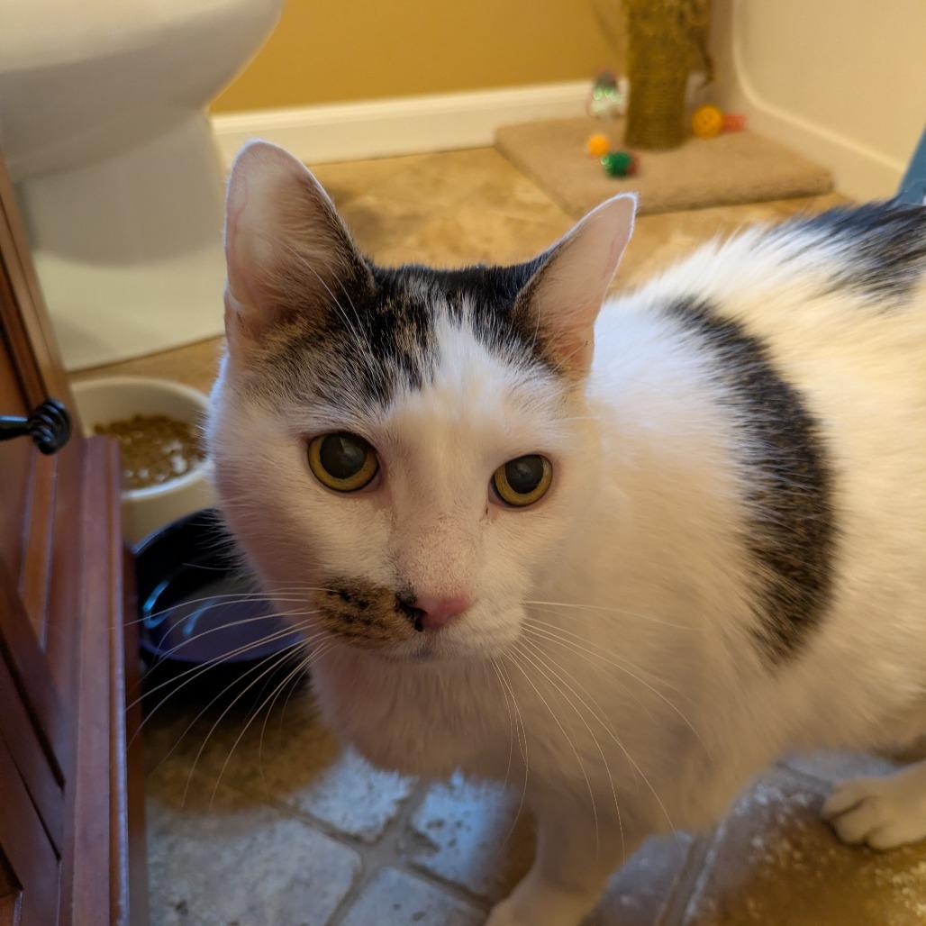 Tash — thumbnail 2