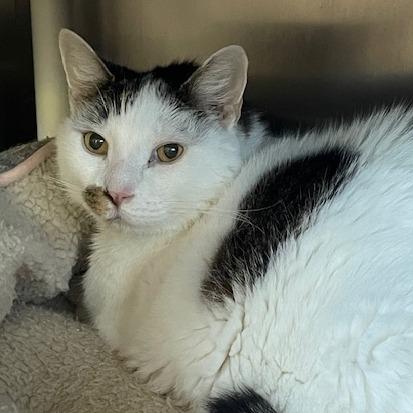 Tash — thumbnail 3