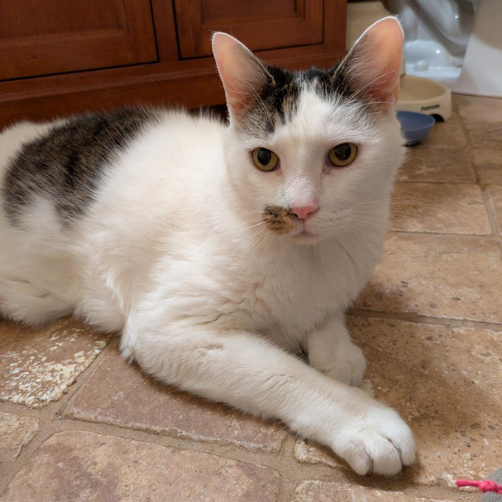 Tash — thumbnail 5