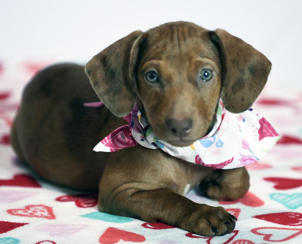 Nora