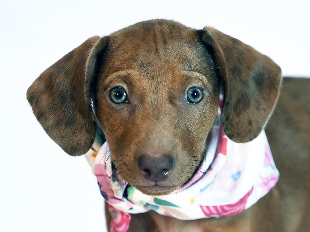 Nora