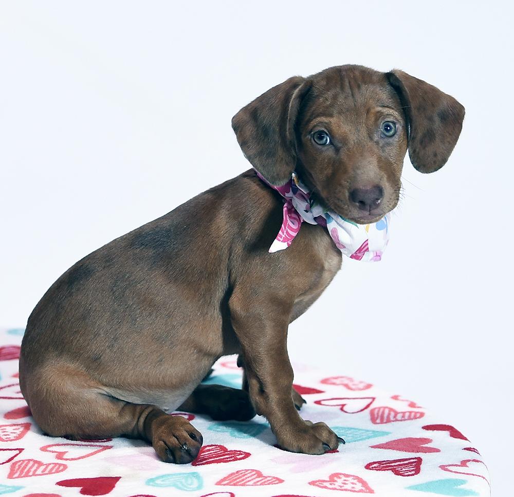 Nora