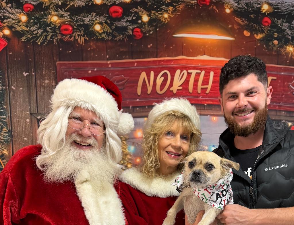 Dexter, a Adoptable mixed breed in Scottsdale, AZ image 2/3