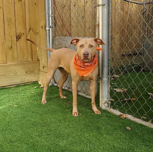 Cali — thumbnail 2