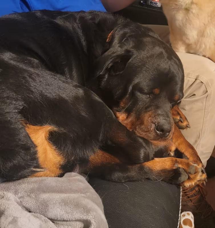 Odin