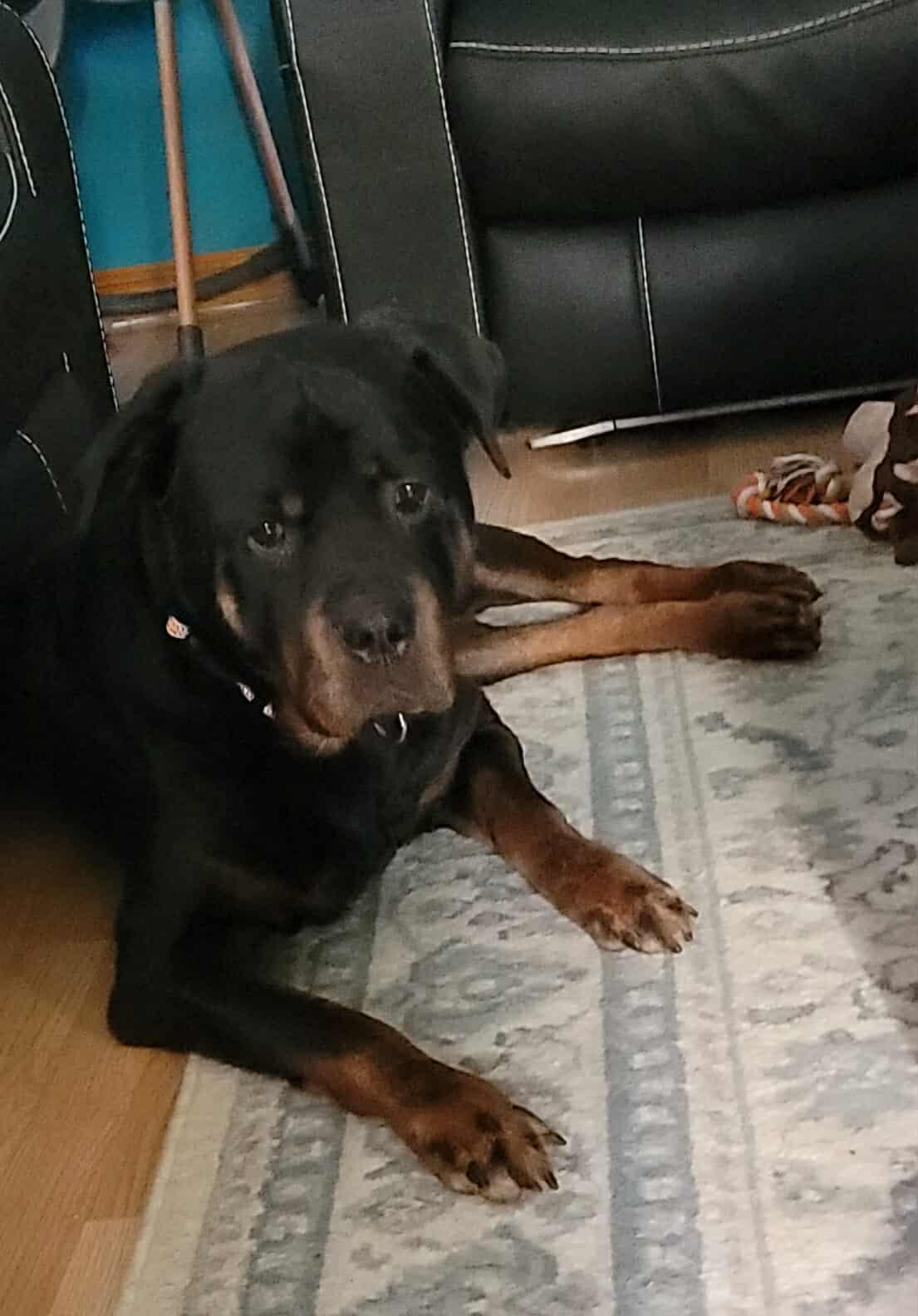 Odin