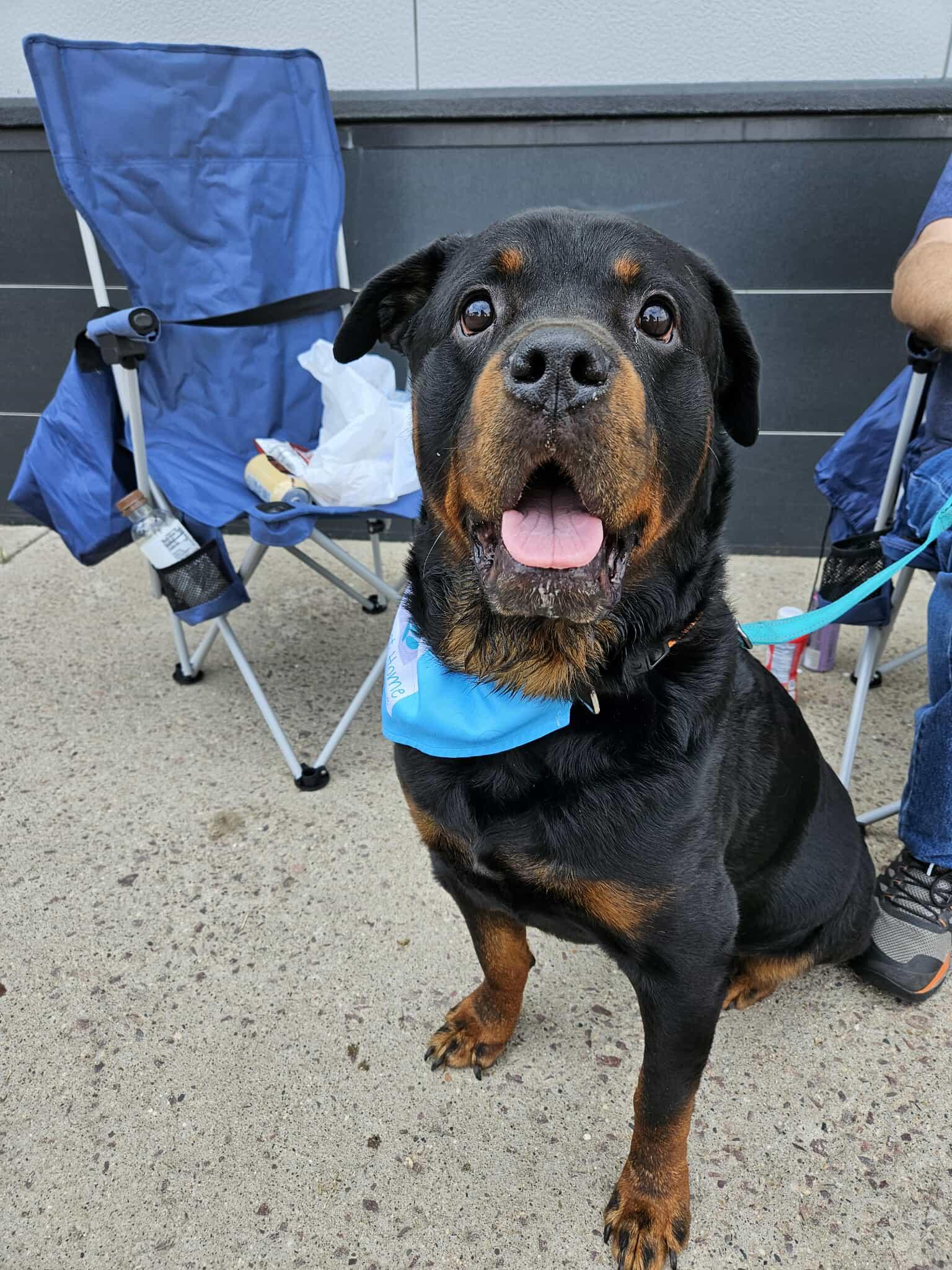 Odin