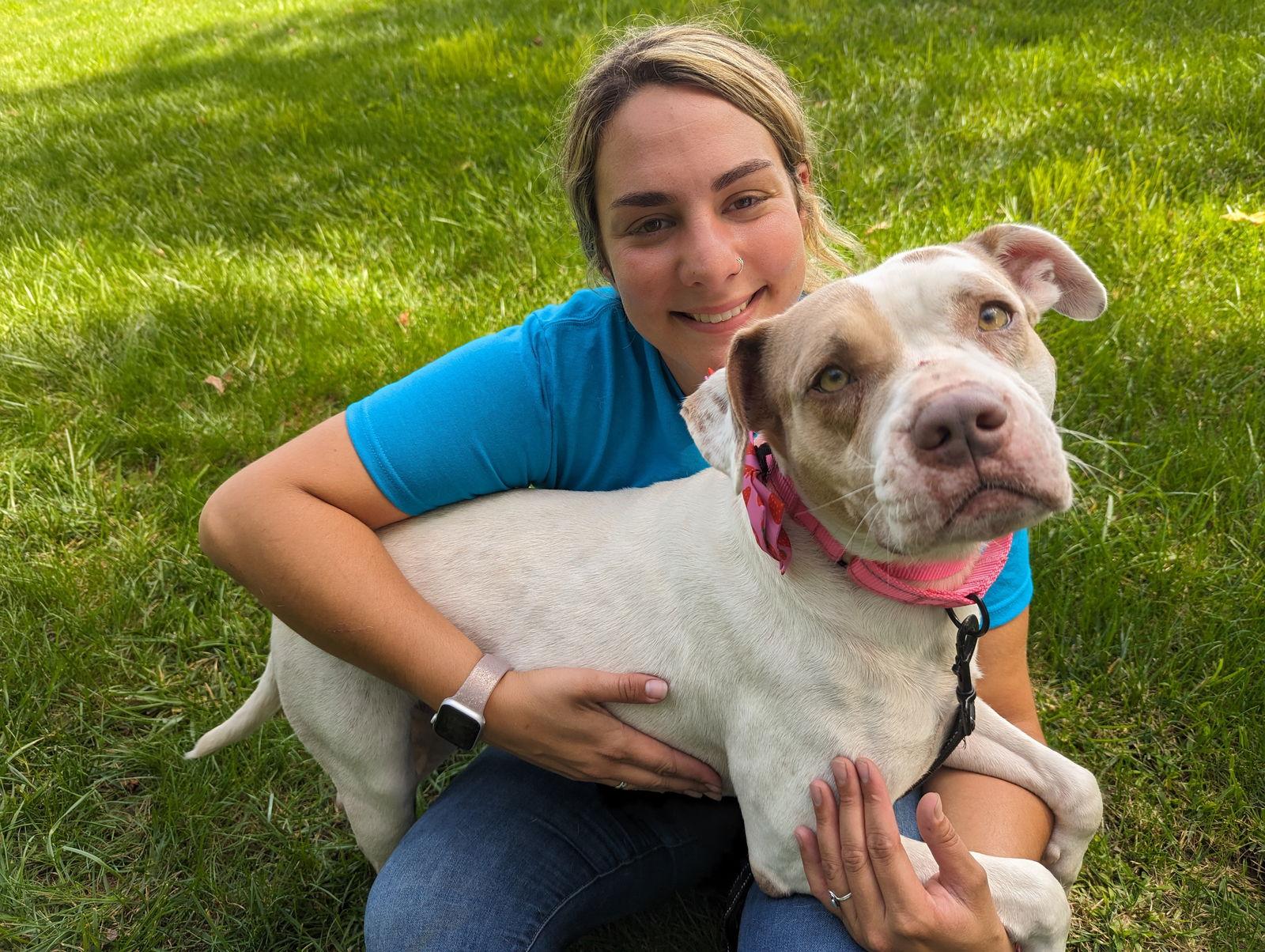 Enlarge Camina, a Adoptable Pit Bull Terrier in New Castle, DE image 3/5